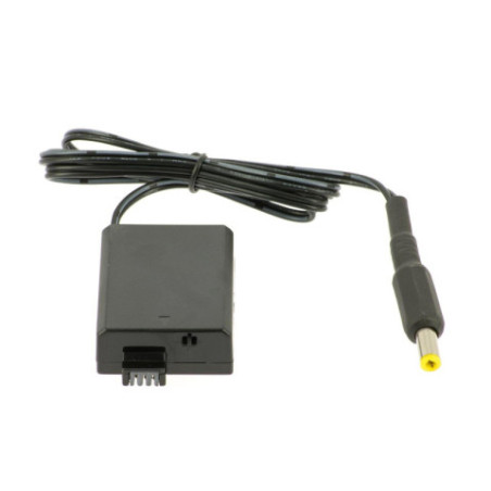 Batterie factice Pegasus Astro pour DLSR Buddy