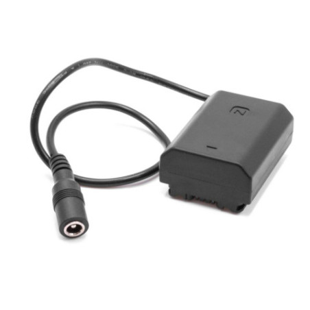 Batterie factice Pegasus Astro pour DLSR Buddy