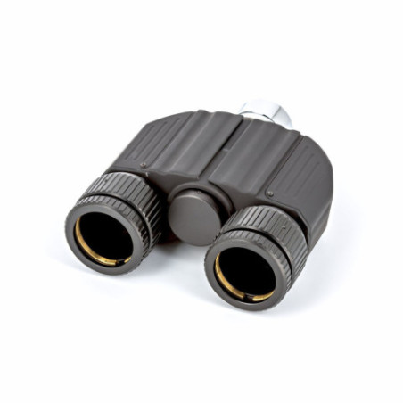 Tête binoculaire Sky-Watcher 31.75mm