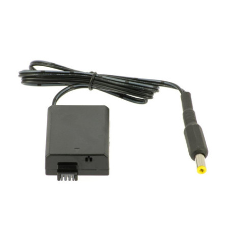Batterie factice Canon DR-E10 Pegasus Astro pour DLSR Buddy
