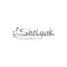 Adaptateur CCD SBIG ST (ST7, ST8, ST10, ST2000) pour Alpy Shelyak Adaptateur CCD SBIG ST (ST7, ST8, ST10, ST2000) pour Alpy Shelyak