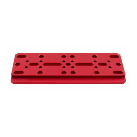 Queue d'aronde mâle PrimaLuceLab PLUS 240mm type Losmandy