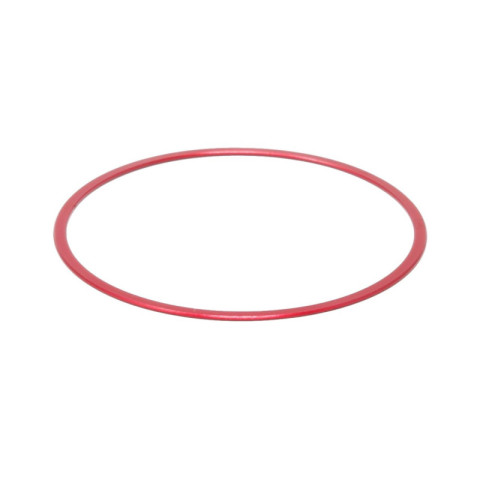 Spacer 0.5mm (M42)  PrimaLuce Lab
