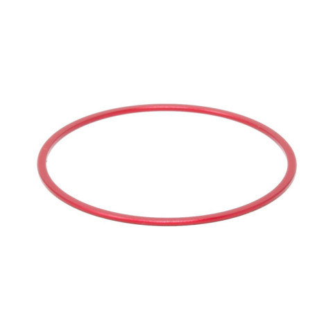 Spacer 1mm ( M42) PrimaLuce Lab