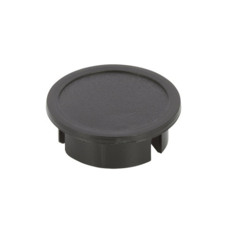 Bouchon Sky-Watcher pour porte-oculaire 31.75mm