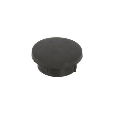 Bouchon de protection plastique vis sans fin HEQ5 Sky-Watcher 