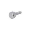 Vis de porte-oculaire pour Esprit 80/100/120ED Sky-Watcher Vis de porte-oculaire pour Esprit 80/100/120ED Sky-Watcher