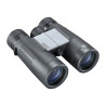 Jumelles Bushnell Powerview V2 8X42