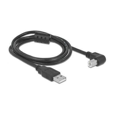 Lot de 2 câbles 1m USB2.0 Pegasus Astro / Delock type A vers B coudé