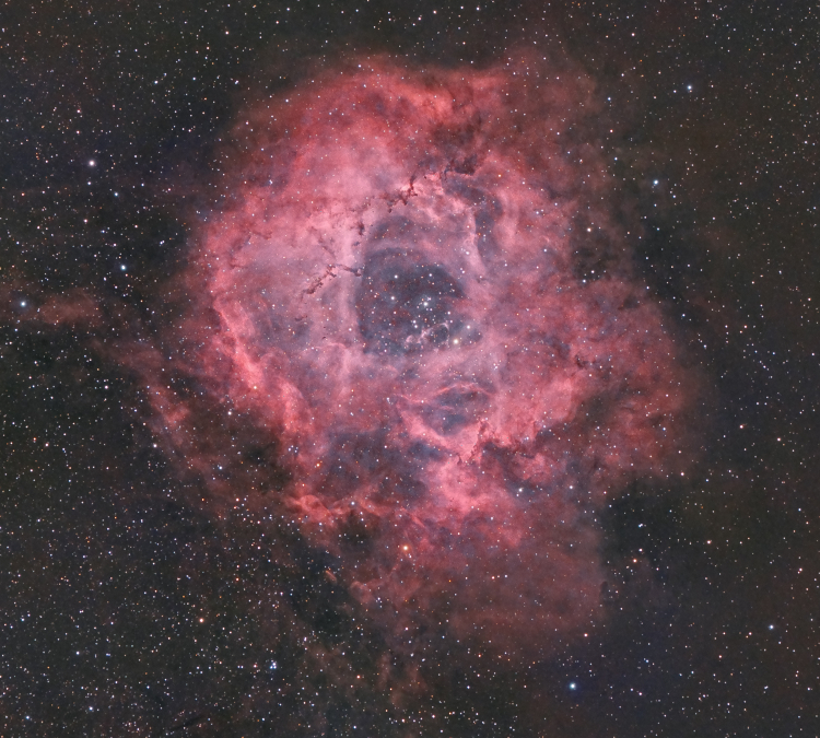 La Nébuleuse de la Rosette NGC2237