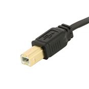 Câble USB2.0 ZWO type B vers type A, plat longueur 50cm