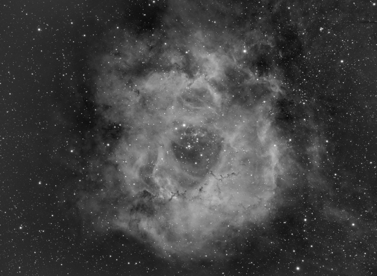 La Nébuleuse de la Rosette NGC2237