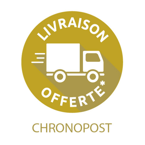 logo_livraison_chronopost