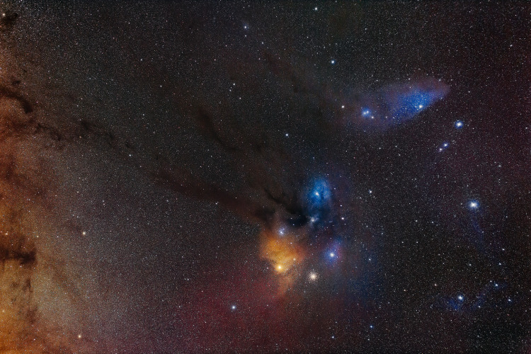 La région stellaire Rho Ophiuchi