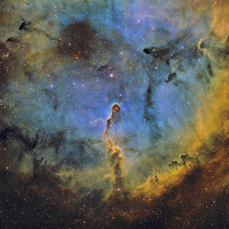 La Nébuleuse de la Trompe IC1396