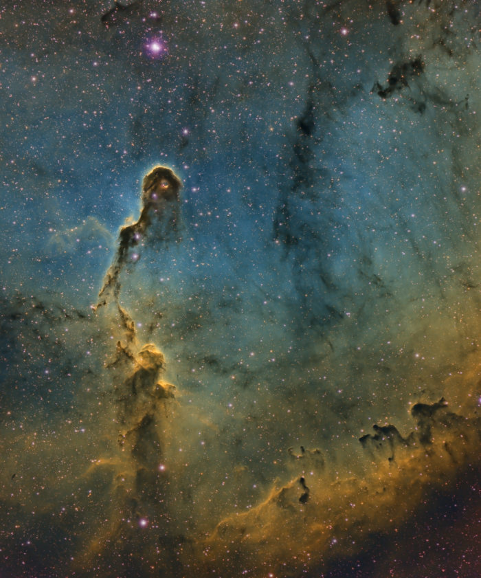 La Nébuleuse de la Trompe IC1396