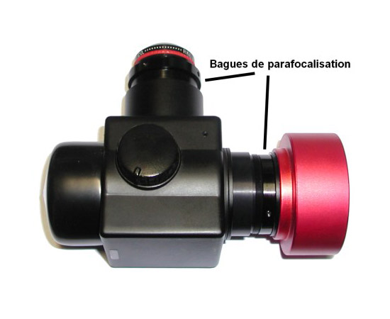 PAAC0013-flip-mirror.jpg