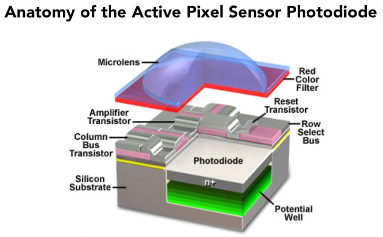 anatonie_capteur_CMOS