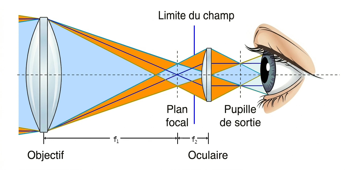 schema_oculaire_luxorion