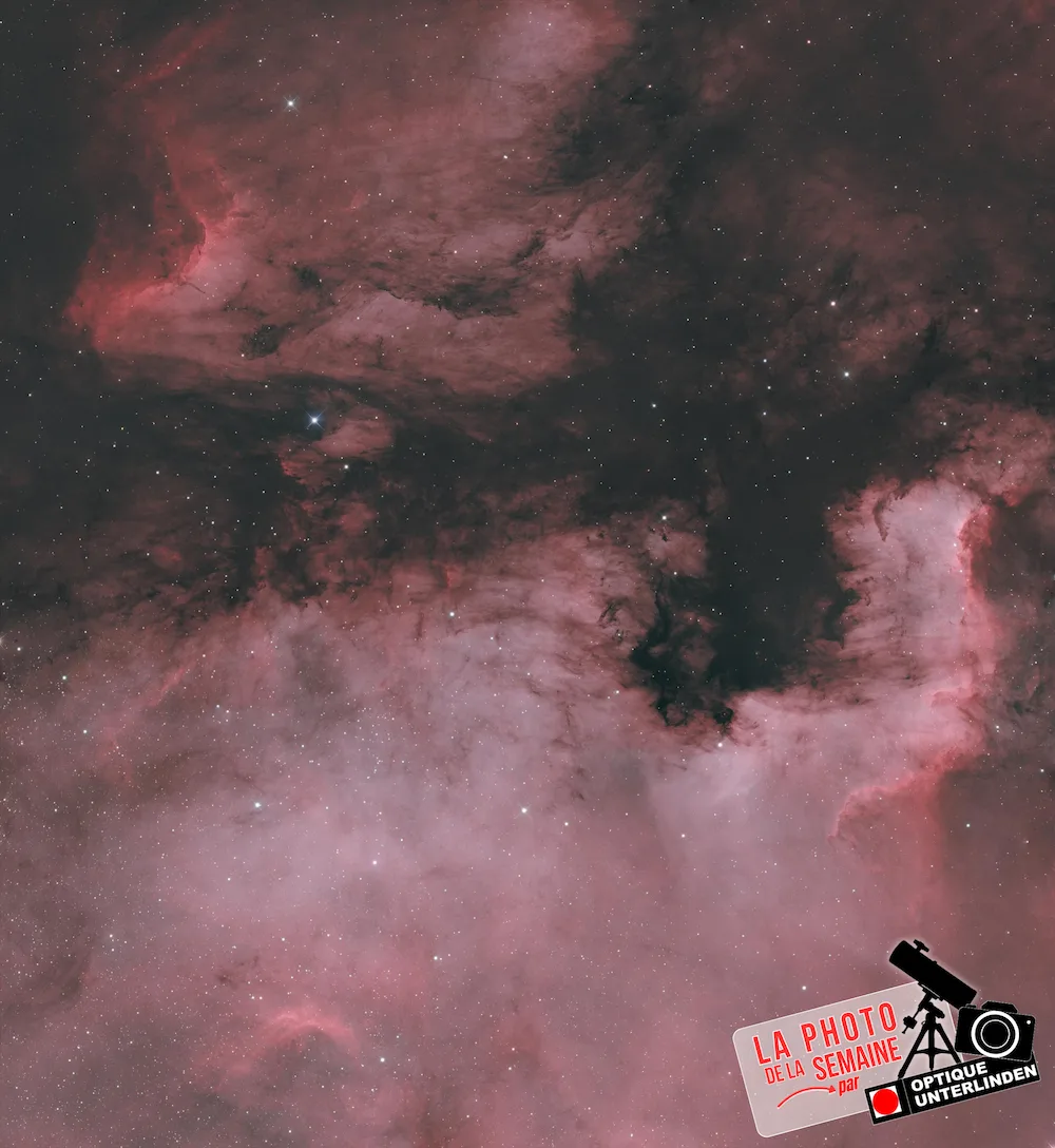 NGC7000_steen