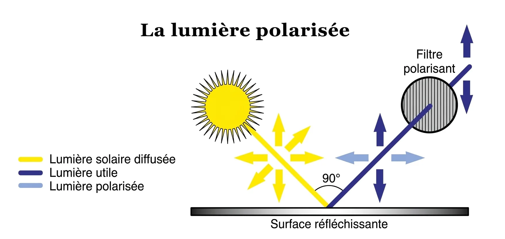 schema_lumiere_polarisant