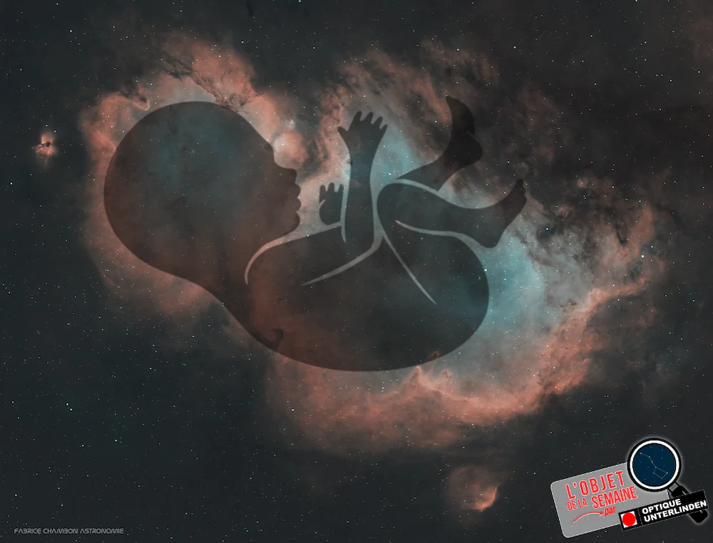 zoom_IC1848_fabrice_chambon