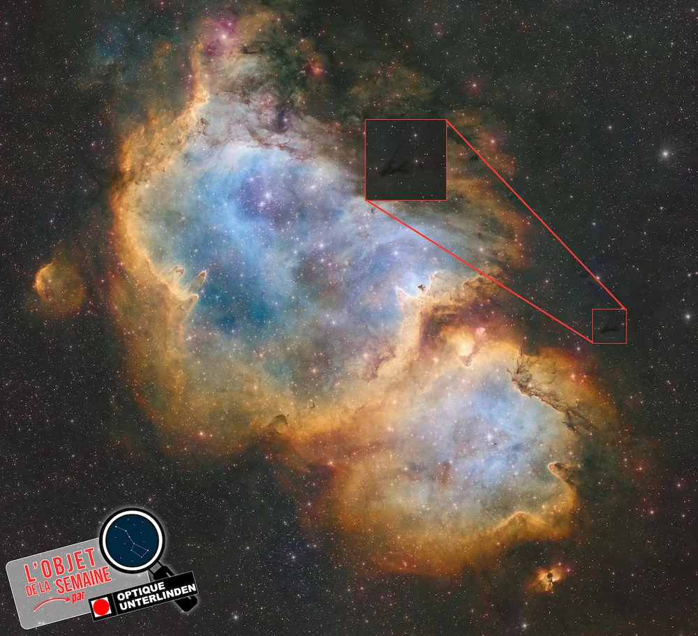 zoom_ic1848_labergere