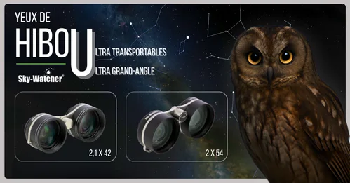 BCD06 - SW Jumelles Hibou