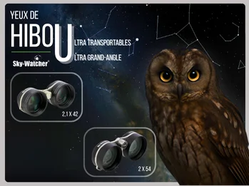 BCD06 - SW Jumelles Hibou